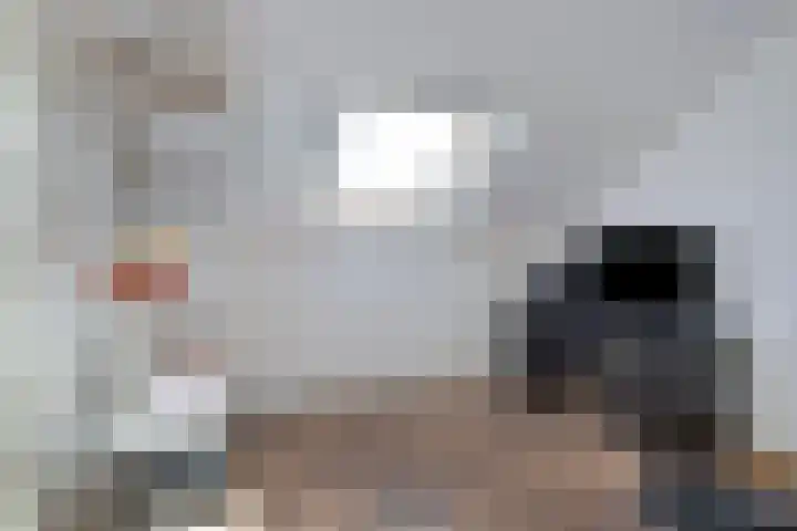 Kievitenveld 1 Cuijk thumbnail 33
