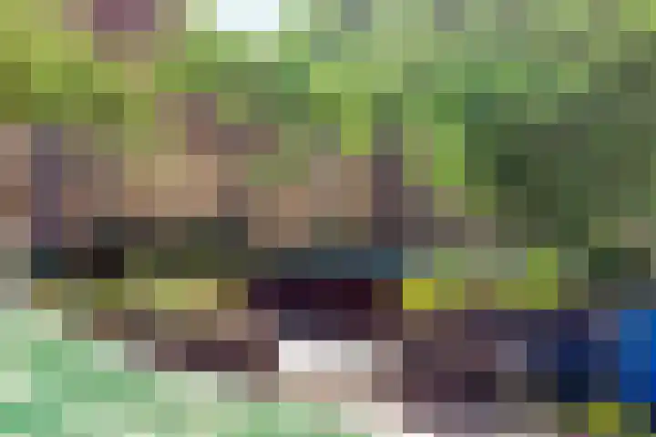 Kievitenveld 1 Cuijk thumbnail 39