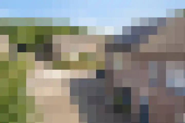 Kievitenveld 1 Cuijk thumbnail 5
