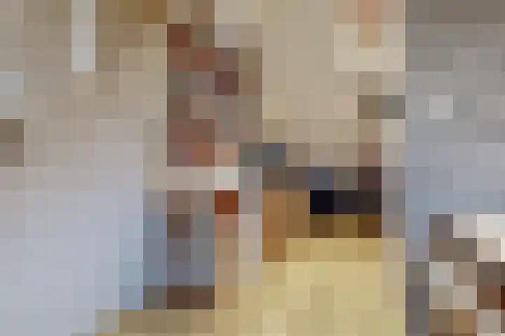 Kievithof 22 Purmerend thumbnail 24