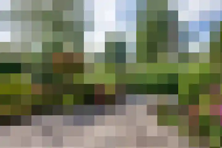 Kievithof 24 Purmerend thumbnail 10