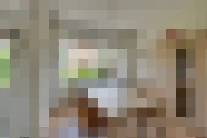 Kievithof 24 Purmerend thumbnail 27