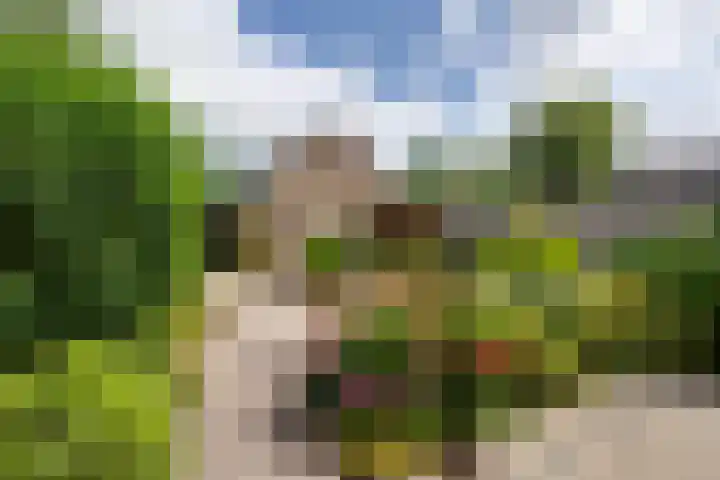 Kievithof 24 Purmerend thumbnail 33