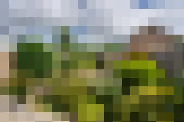 Kievithof 24 Purmerend thumbnail 34