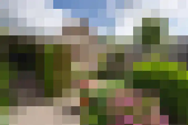 Kievithof 24 Purmerend thumbnail 35