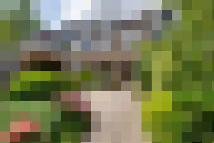 Kievithof 24 Purmerend thumbnail 36