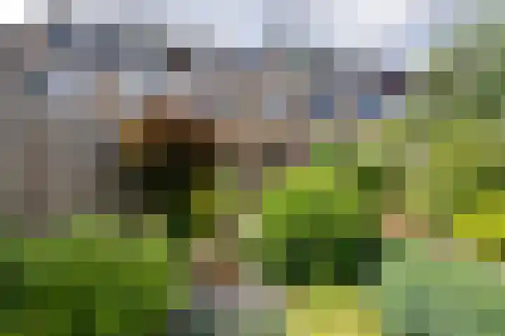 Kievithof 24 Purmerend thumbnail 37