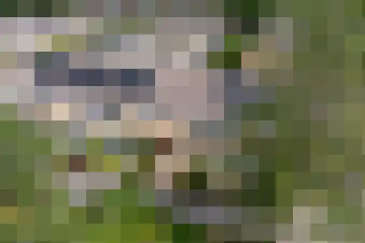 Kievithof 24 Purmerend thumbnail 4