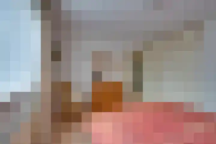 Kievithof 24 Purmerend thumbnail 42