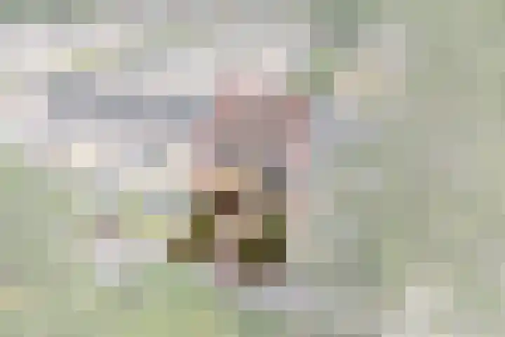 Kievithof 24 Purmerend thumbnail 5