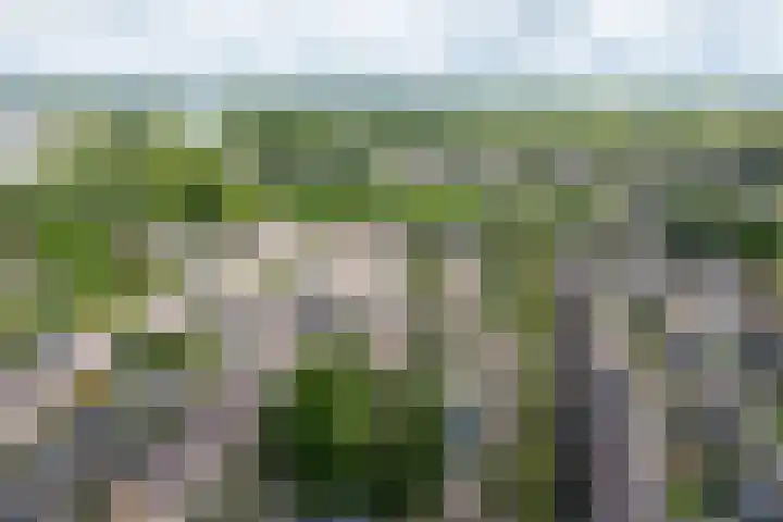 Kievithof 24 Purmerend thumbnail 57