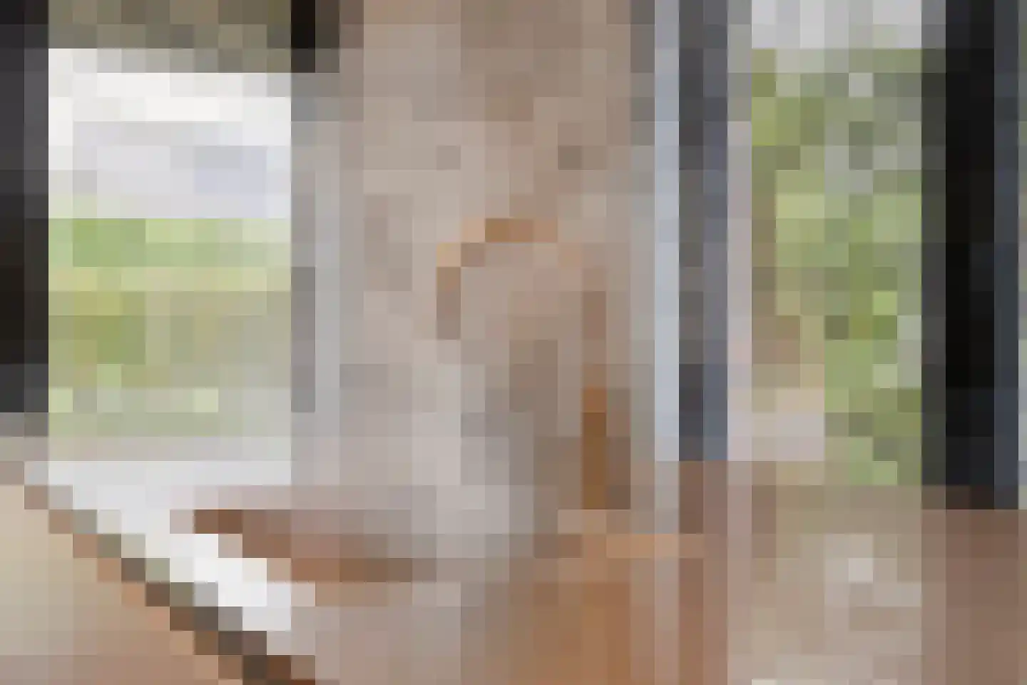Kievithof 5 Sterksel thumbnail 12