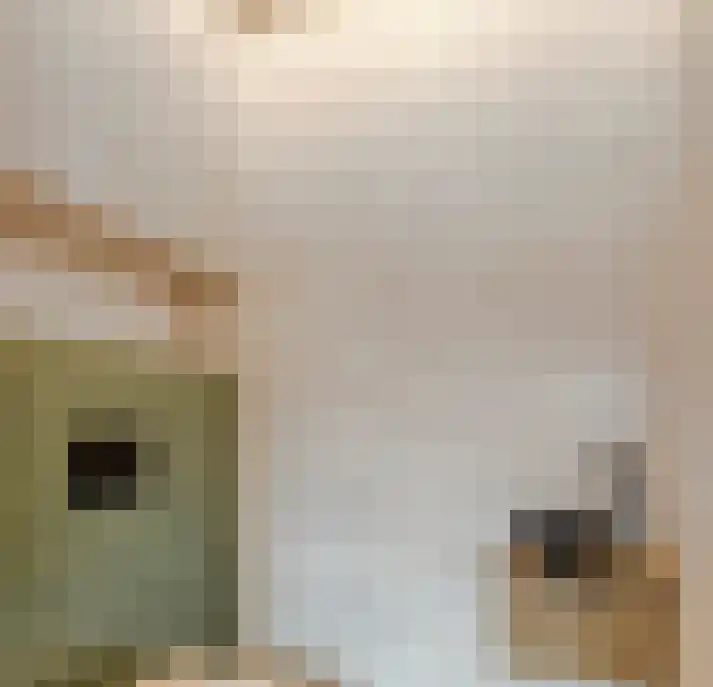 Kievithof 5 Sterksel thumbnail 13