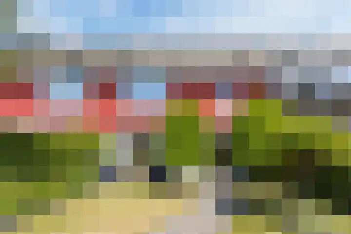 Kievithof 8 Middelburg thumbnail 33