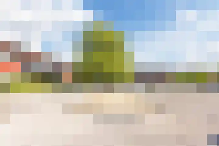 Kievithof 8 Middelburg thumbnail 35