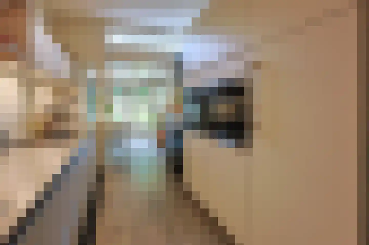 Kievitlaan 1 Eindhoven thumbnail 24