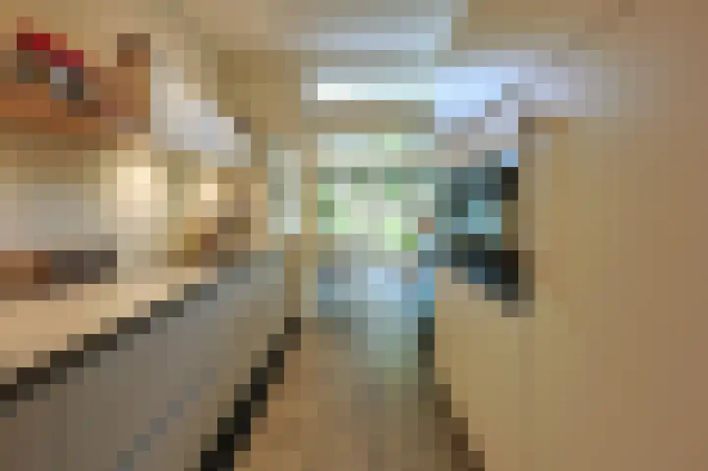 Kievitlaan 1 Eindhoven thumbnail 25