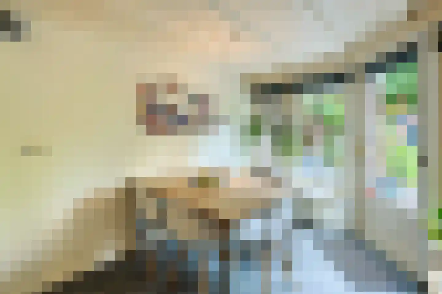 Kievitlaan 1 Eindhoven thumbnail 28