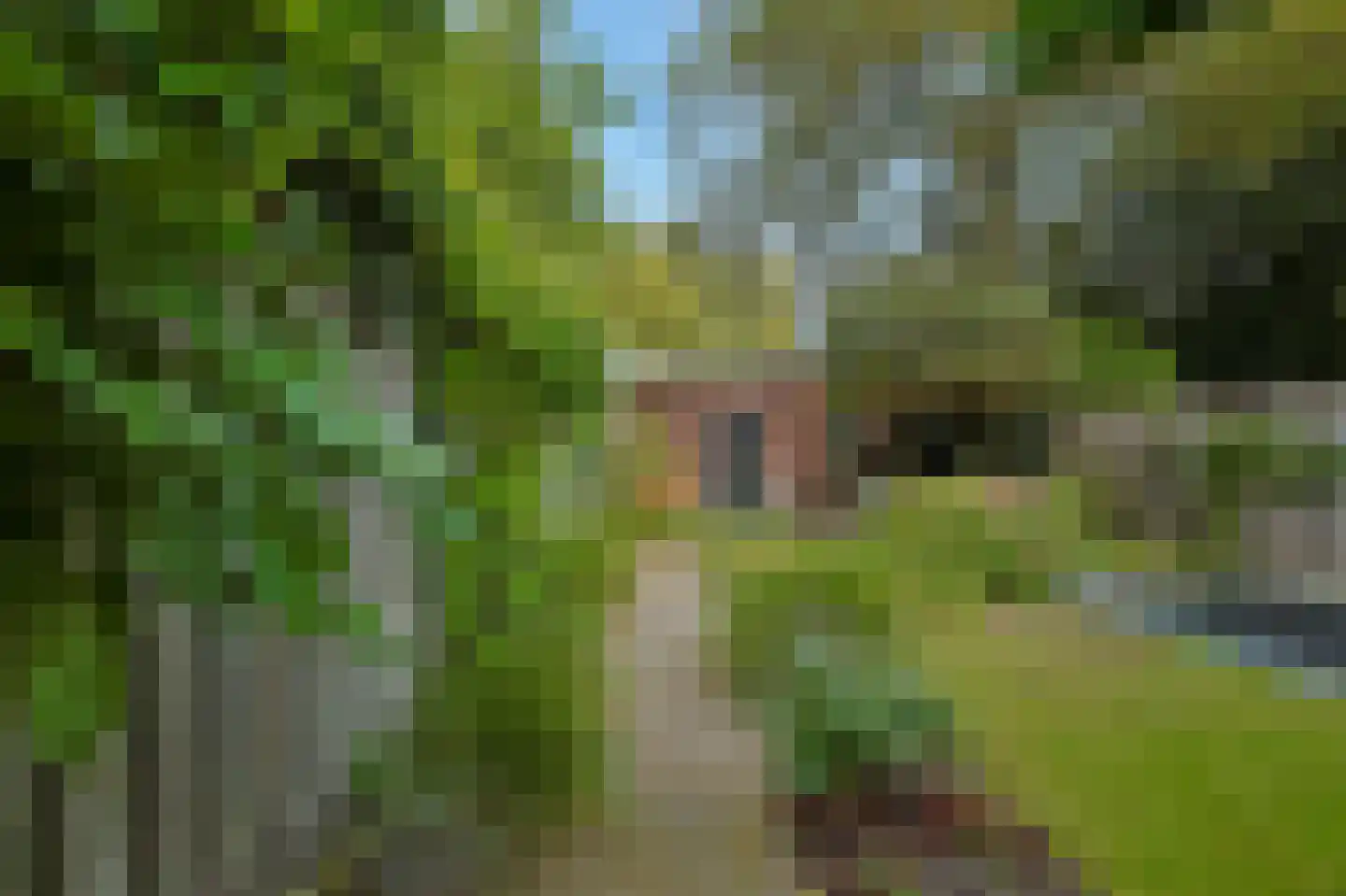 Kievitlaan 1 Eindhoven thumbnail 34