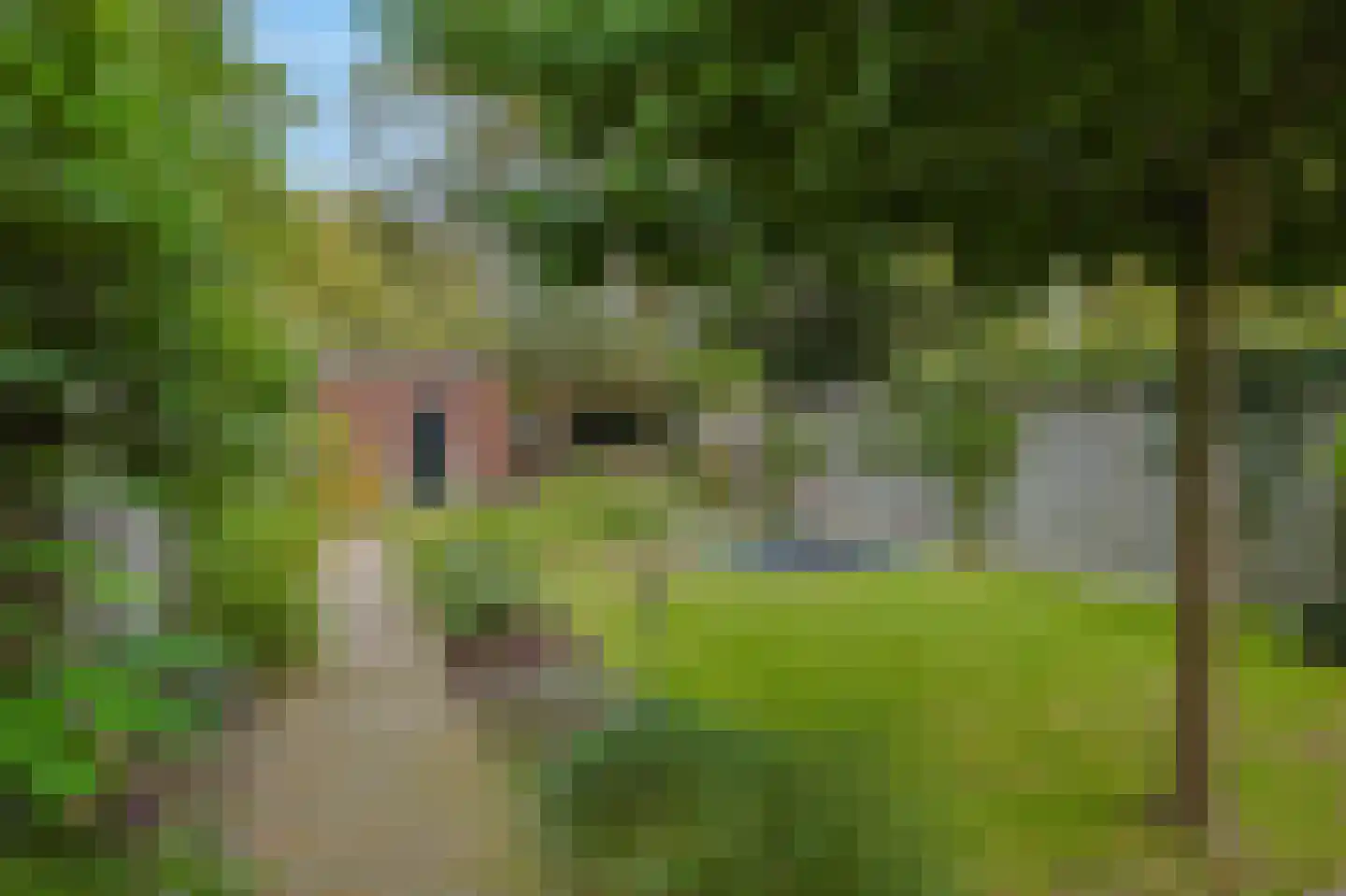 Kievitlaan 1 Eindhoven thumbnail 35