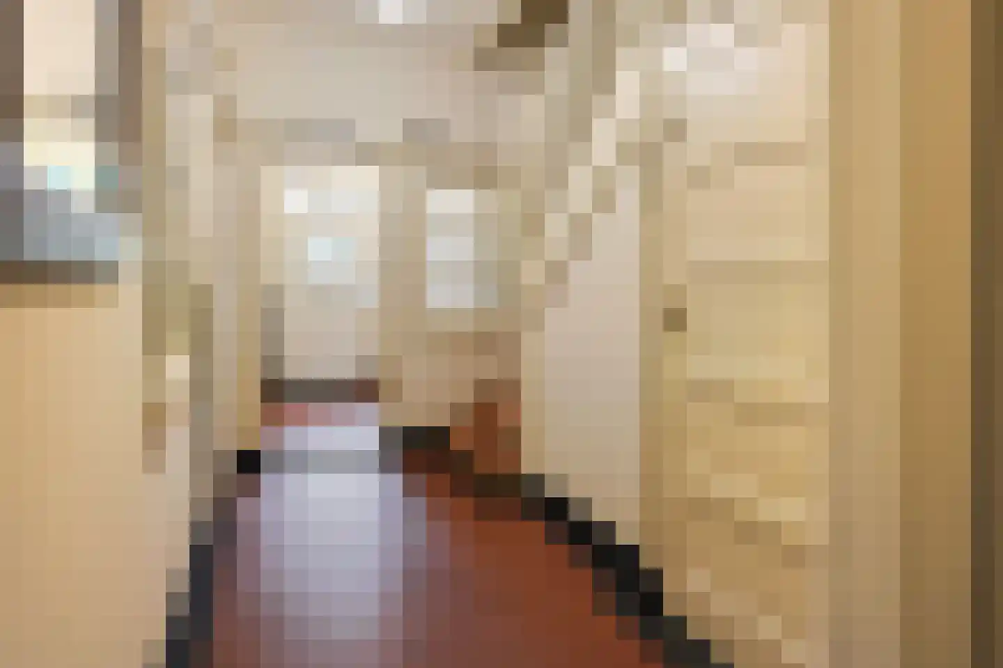 Kievitlaan 1 Eindhoven thumbnail 8