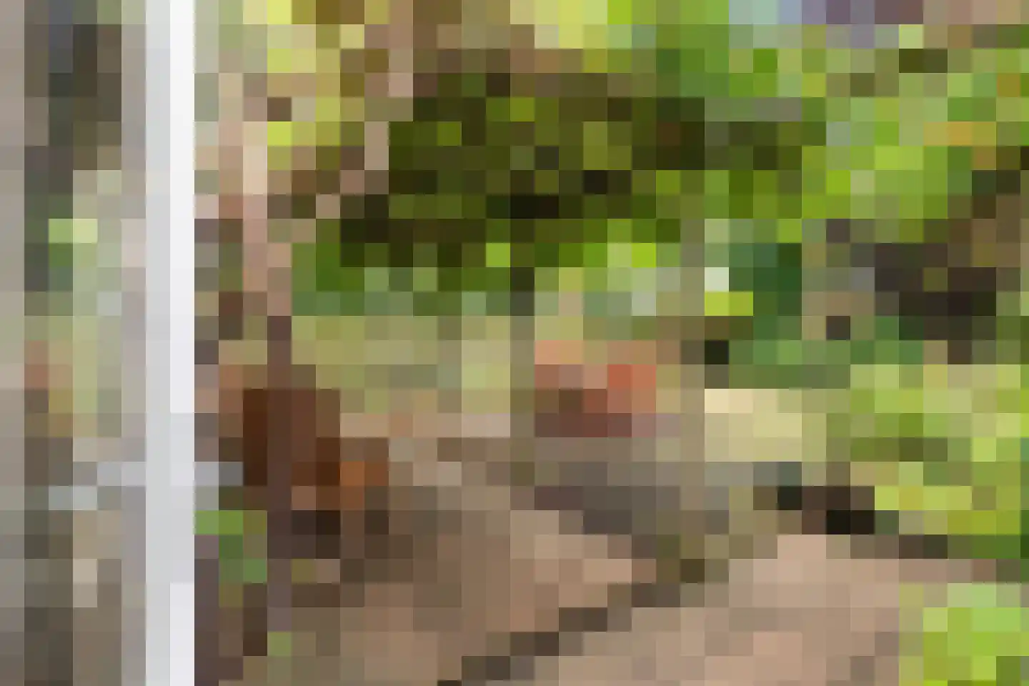 Kievitlaan 1 Koudekerk aan den Rijn thumbnail 17