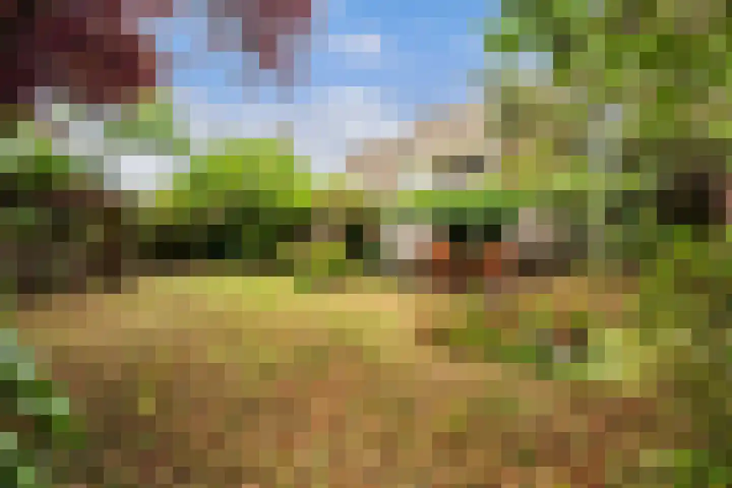 Kievitlaan 1 Koudekerk aan den Rijn thumbnail 20
