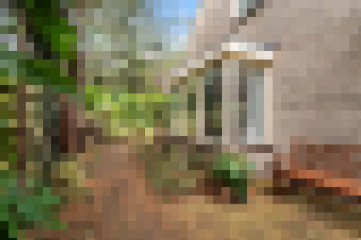 Kievitlaan 1 Koudekerk aan den Rijn thumbnail 22