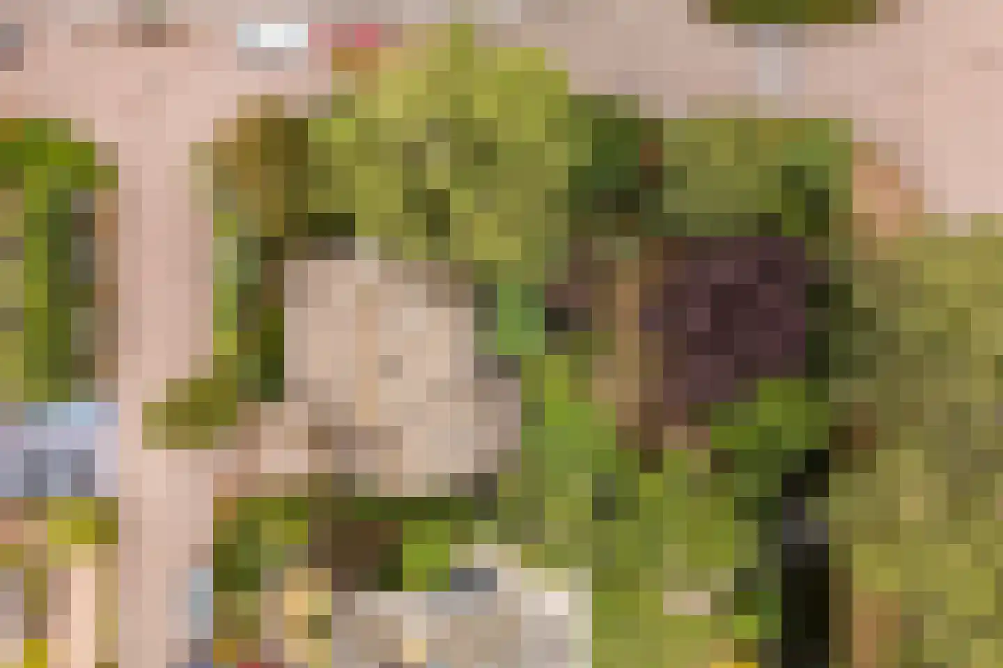 Kievitlaan 1 Koudekerk aan den Rijn thumbnail 4