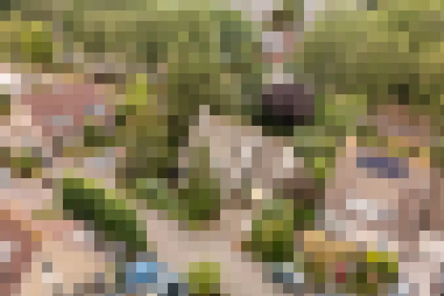 Kievitlaan 1 Koudekerk aan den Rijn thumbnail 42