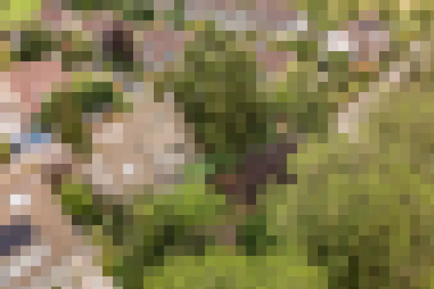 Kievitlaan 1 Koudekerk aan den Rijn thumbnail 43