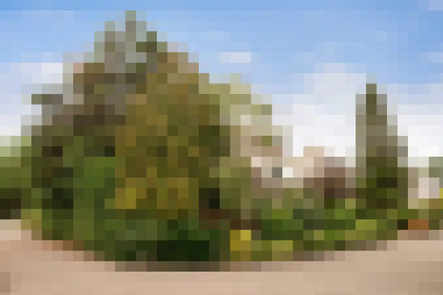 Kievitlaan 1 Koudekerk aan den Rijn thumbnail 44