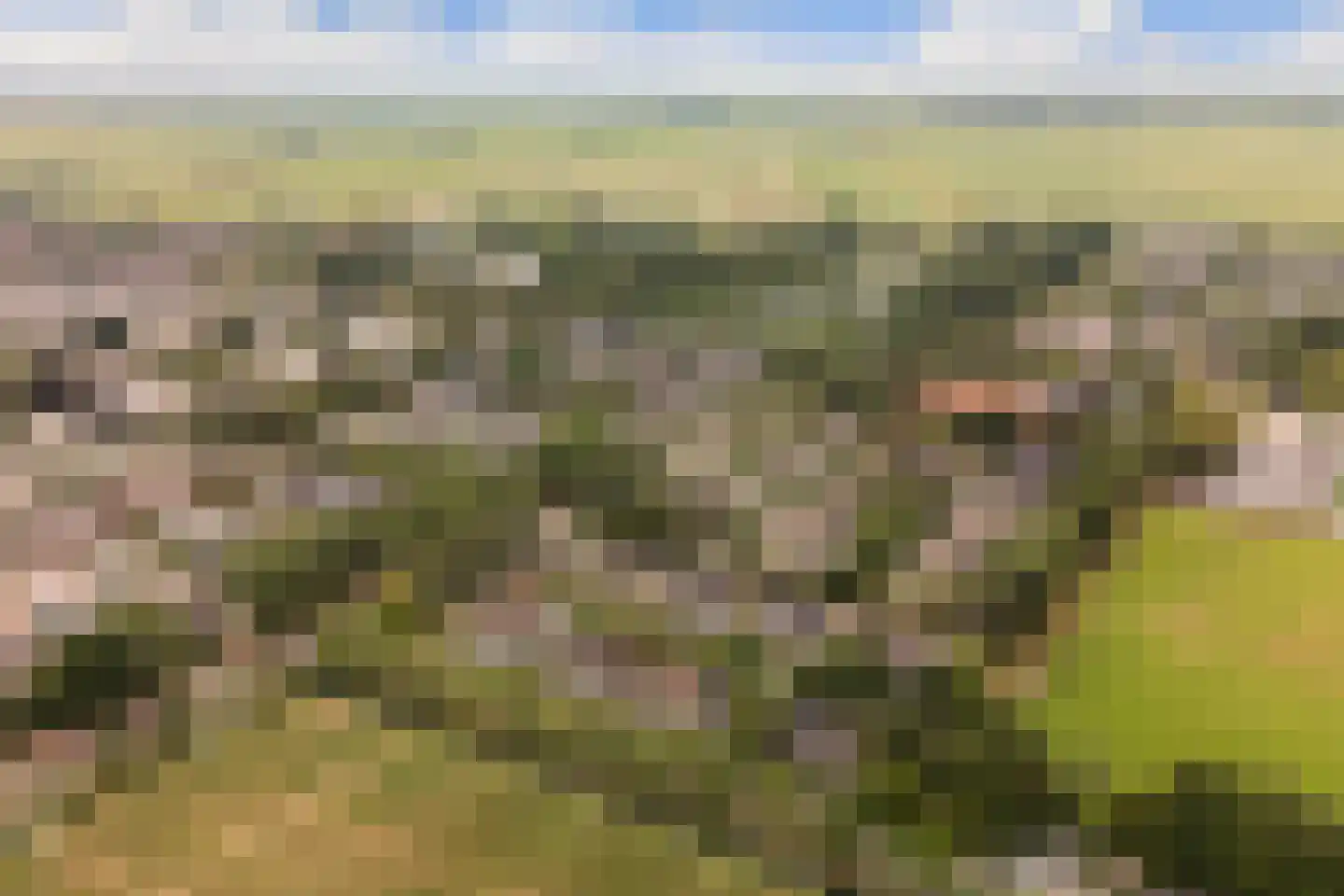 Kievitlaan 1 Koudekerk aan den Rijn thumbnail 46