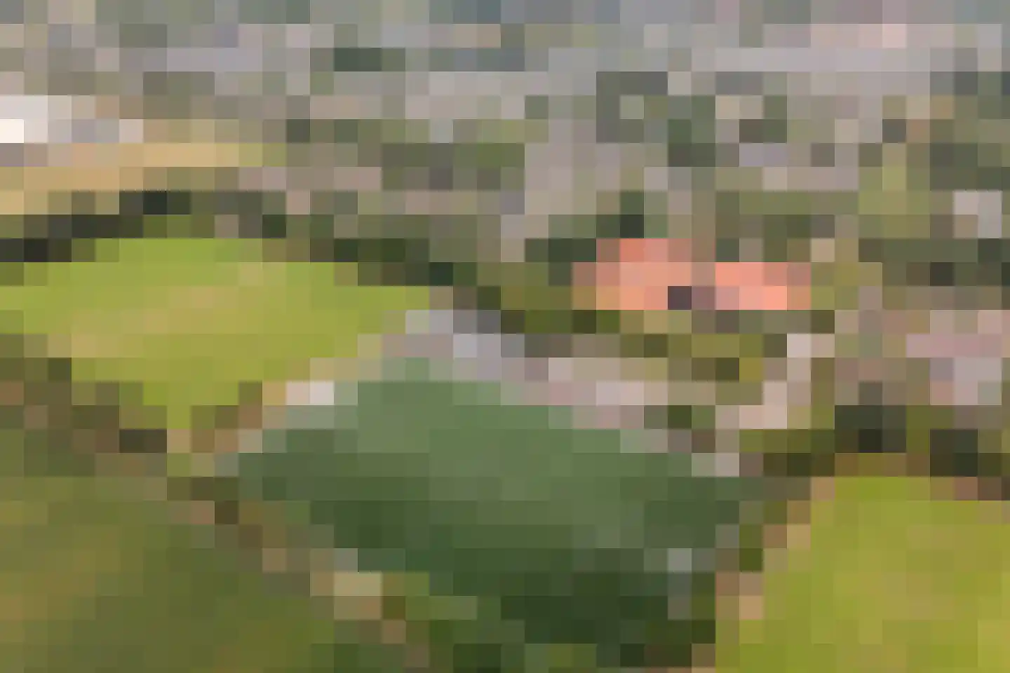 Kievitlaan 1 Koudekerk aan den Rijn thumbnail 47