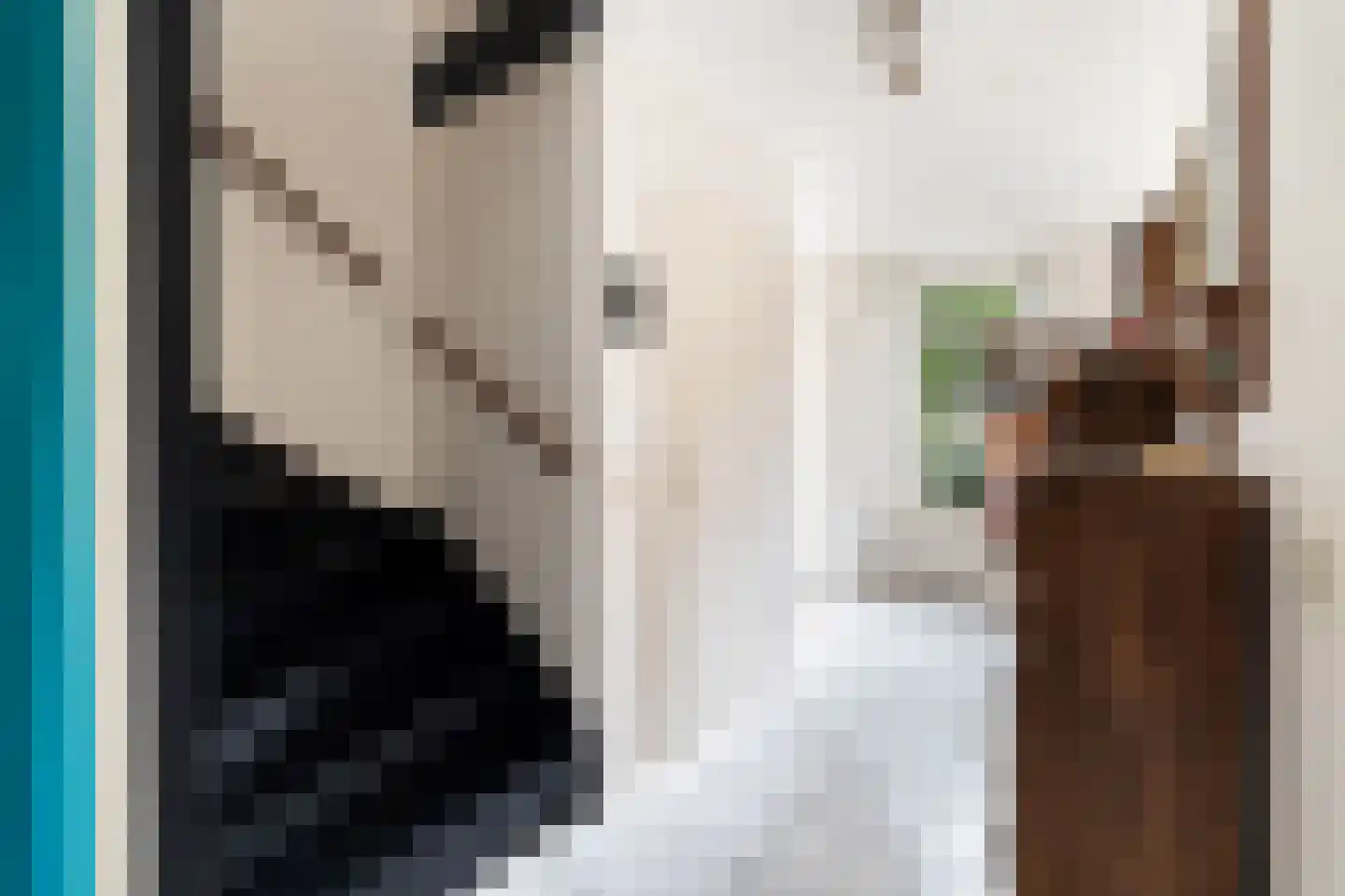 Kievitlaan 1 Koudekerk aan den Rijn thumbnail 6