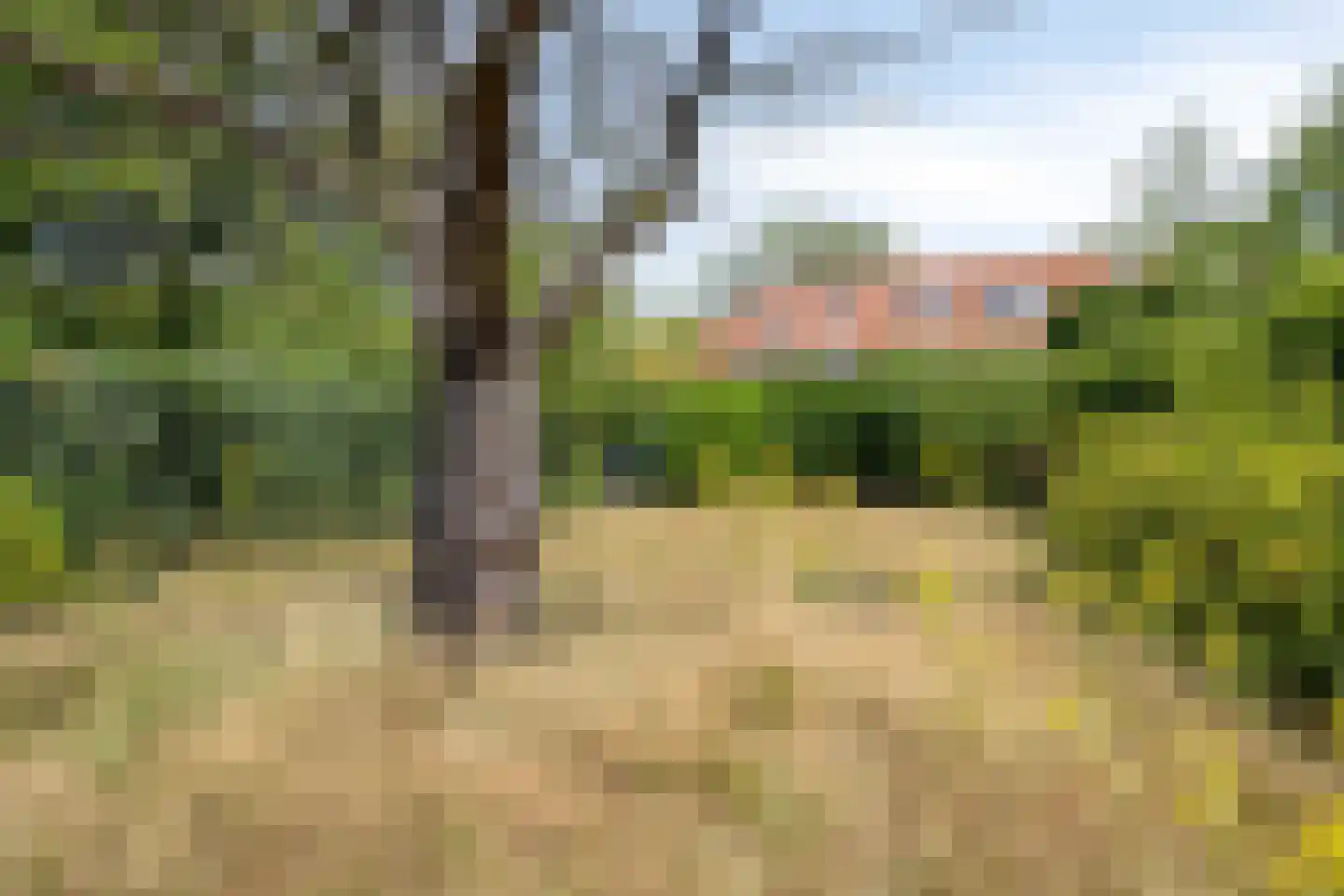 Kievitlaan 11 Eindhoven thumbnail 46