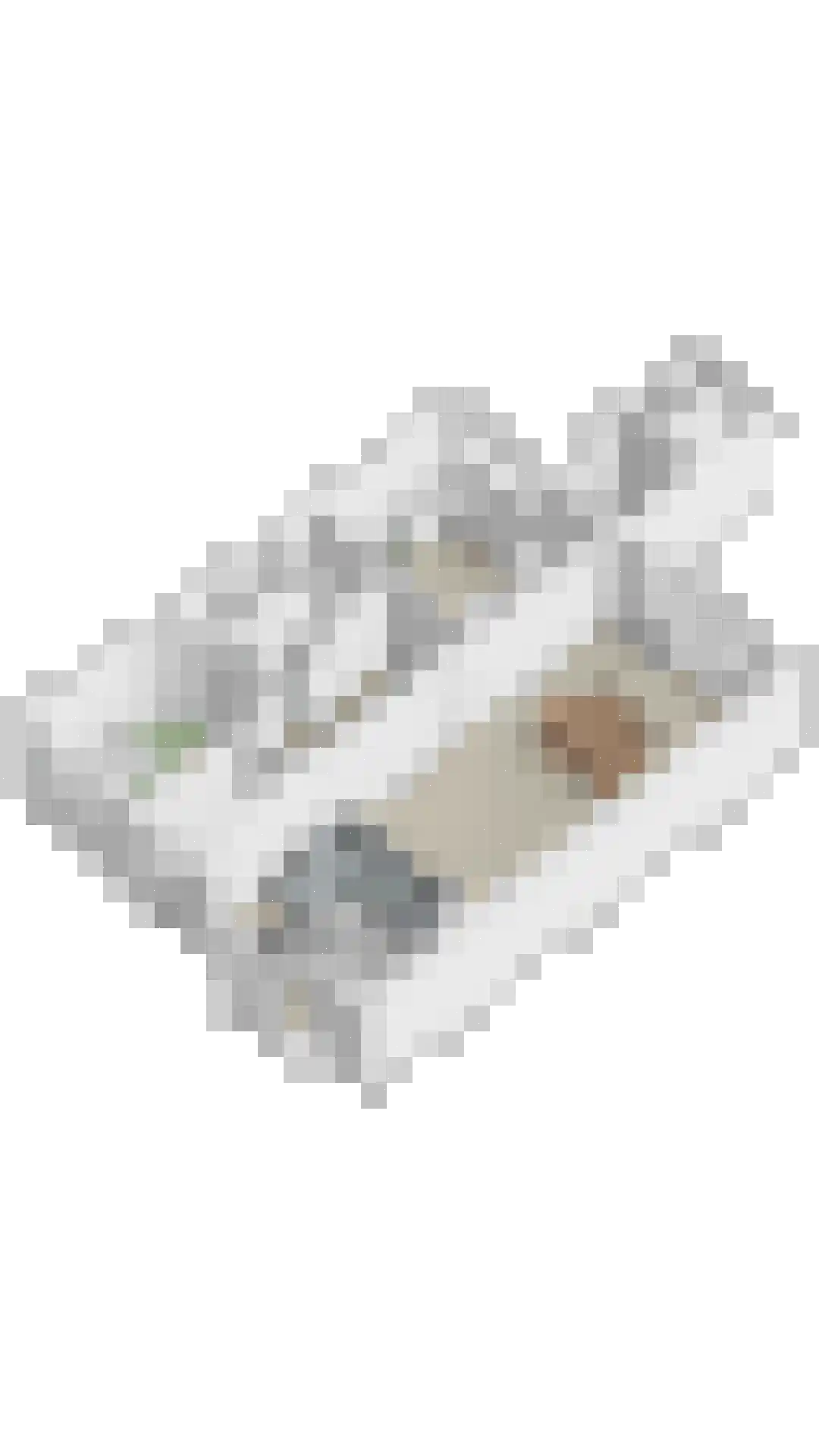 Kievitlaan 11 Eindhoven thumbnail 72