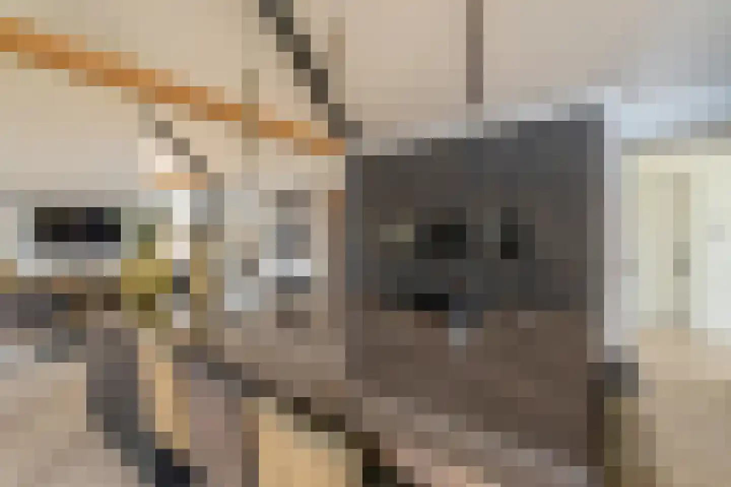 Kievitlaan 11 Riethoven thumbnail 10