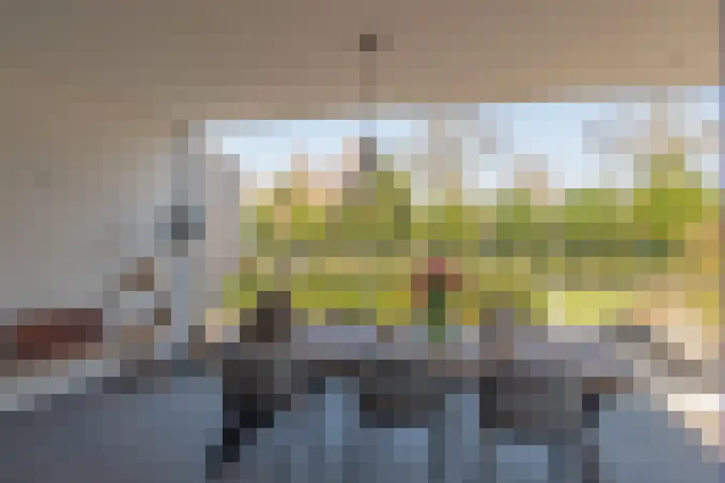 Kievitlaan 11 Riethoven thumbnail 13