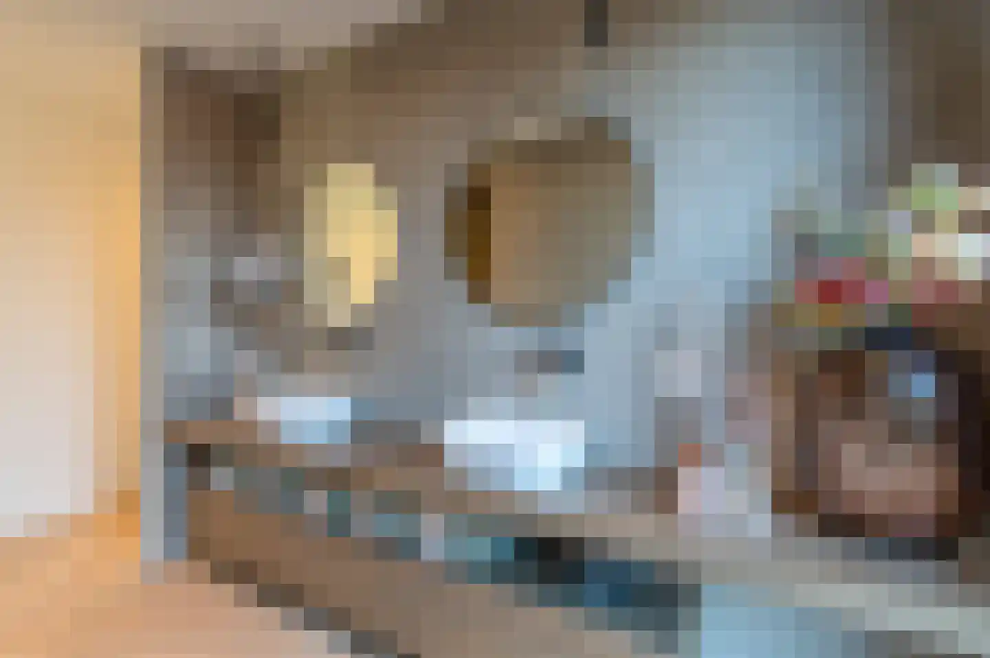Kievitlaan 11 Riethoven thumbnail 19