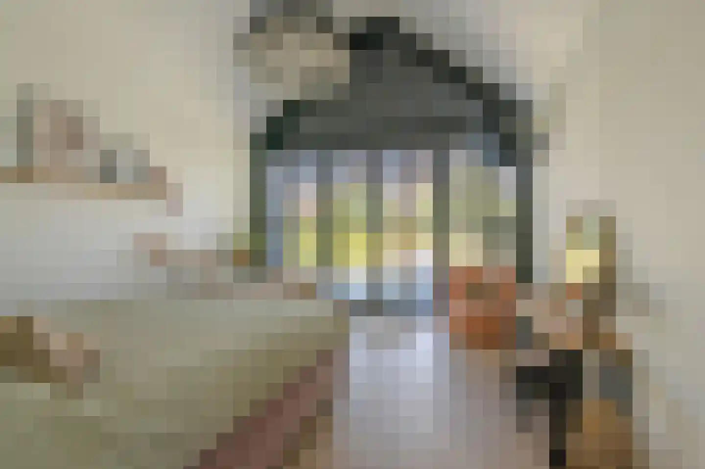 Kievitlaan 11 Riethoven thumbnail 22