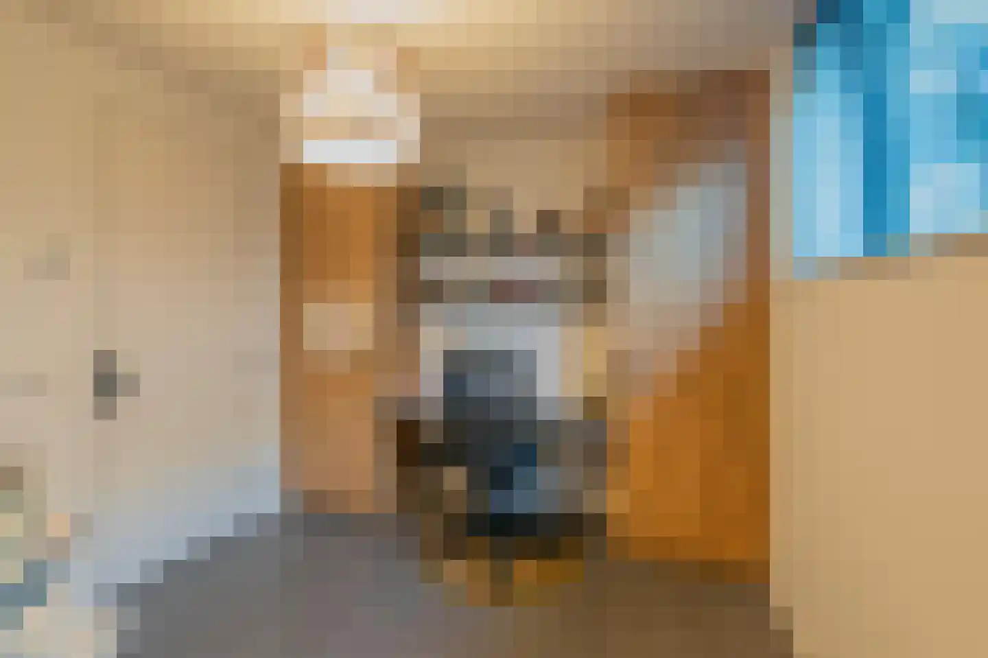 Kievitlaan 11 Riethoven thumbnail 31