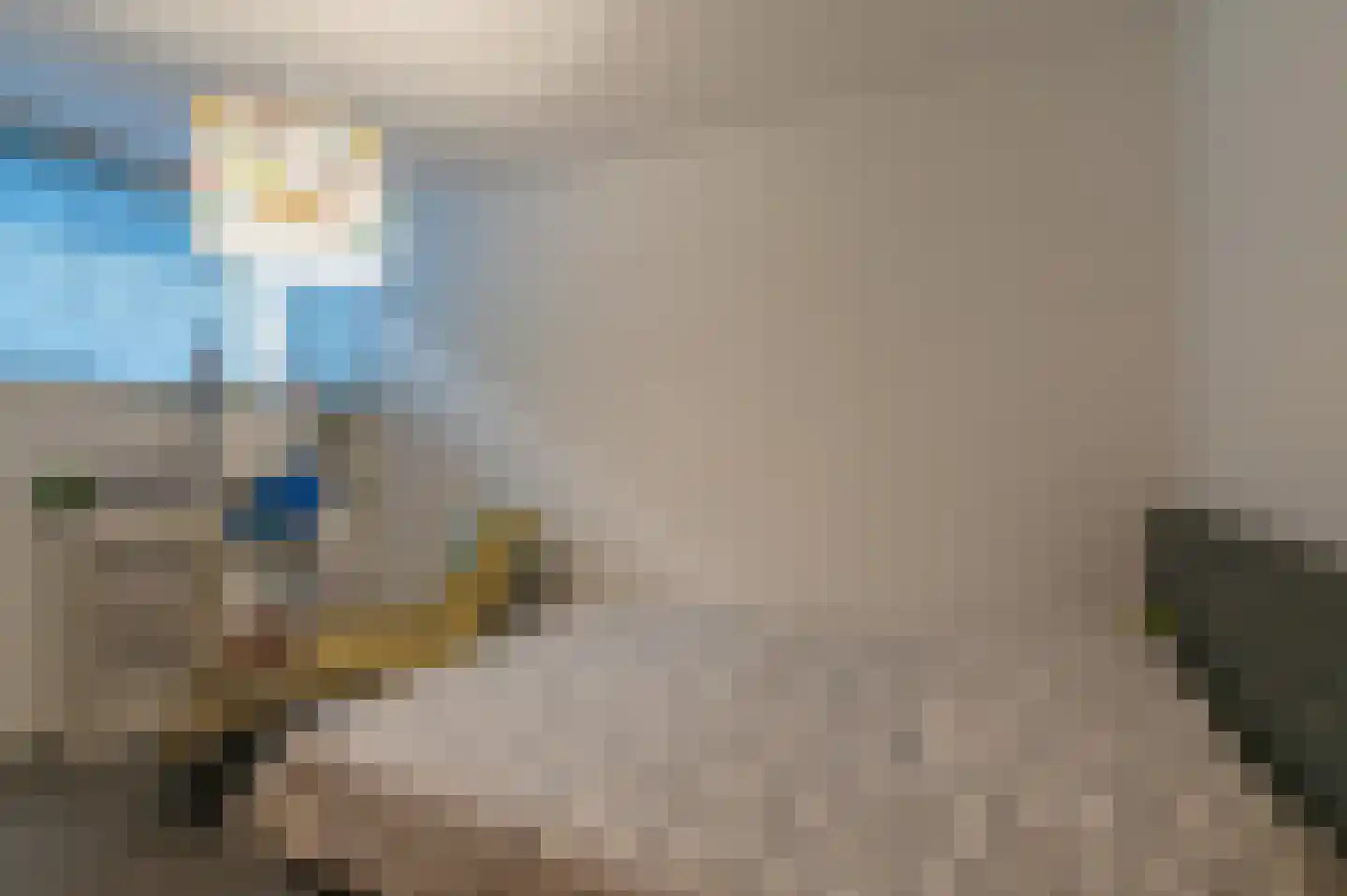 Kievitlaan 11 Riethoven thumbnail 36