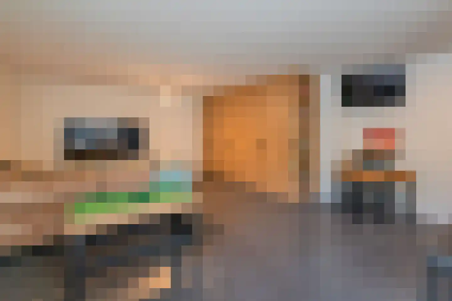 Kievitlaan 11 Riethoven thumbnail 43