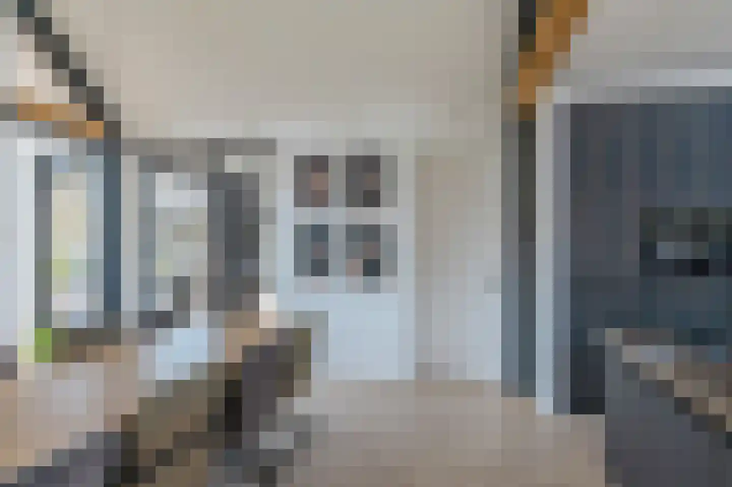 Kievitlaan 11 Riethoven thumbnail 6