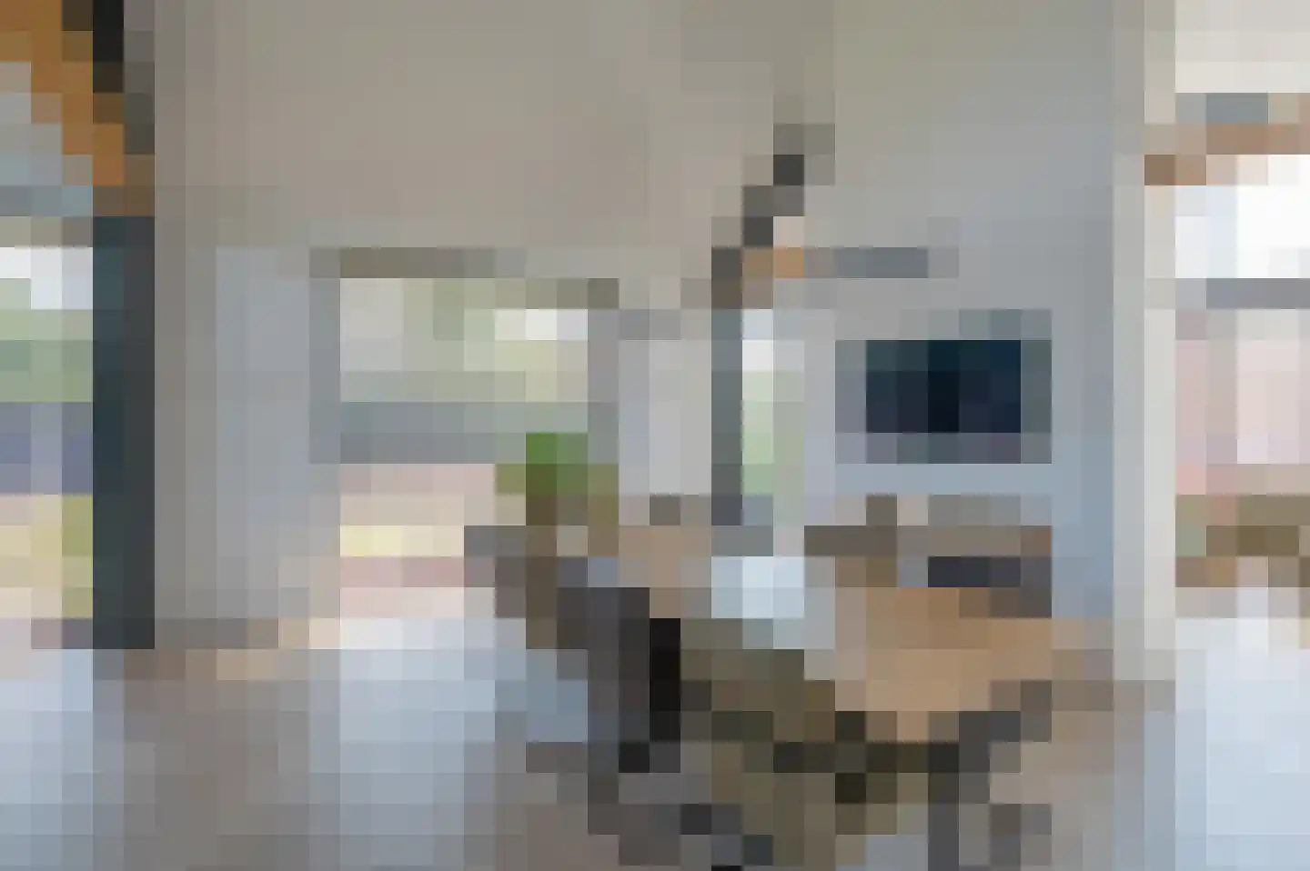 Kievitlaan 11 Riethoven thumbnail 9
