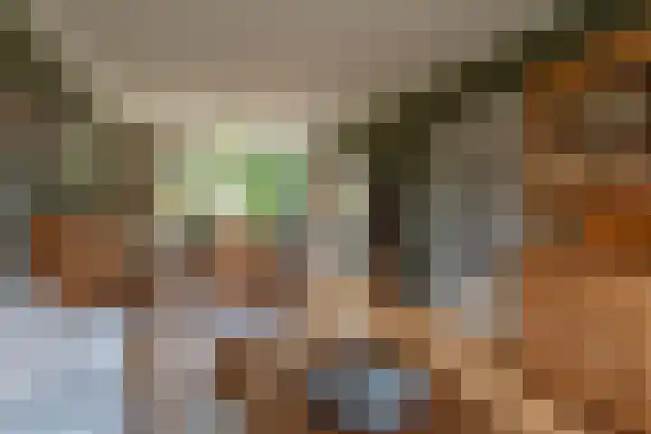 Kievitlaan 12 Maartensdijk thumbnail 11