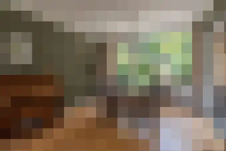Kievitlaan 12 Maartensdijk thumbnail 12
