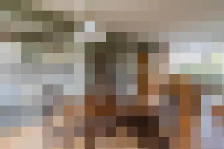 Kievitlaan 12 Maartensdijk thumbnail 13