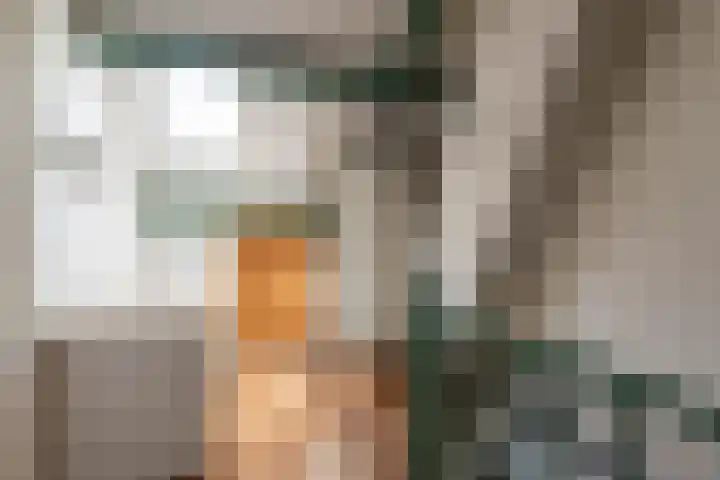 Kievitlaan 12 Maartensdijk thumbnail 25
